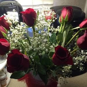 Meet your Posher, Loretta